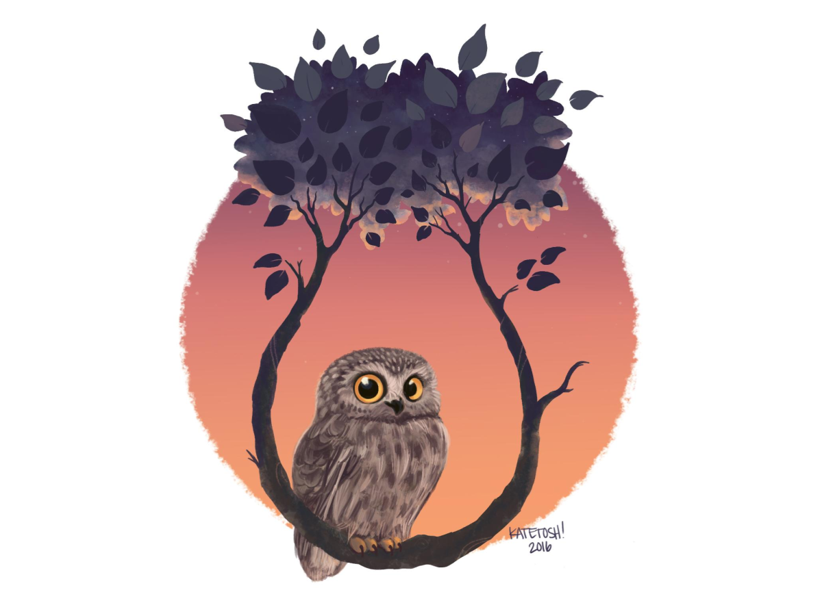 Owl with Orange Background Digital Painting